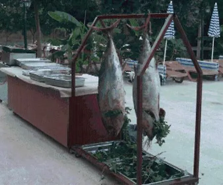 Θέρετρο Sunmerry Beldibi (Kemer)